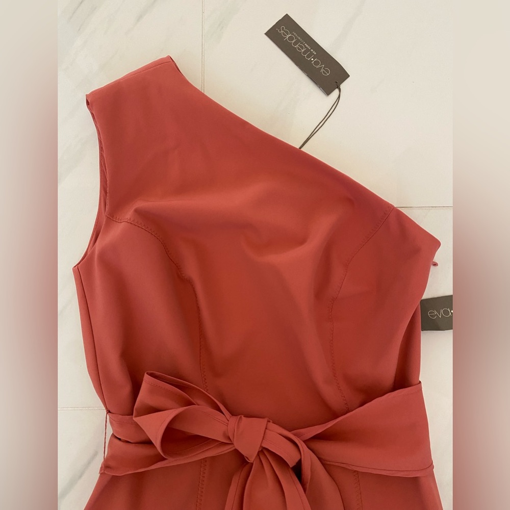 NWT Elegant Eva Mendes New York & Company blush/peach color one-shoulder dress.